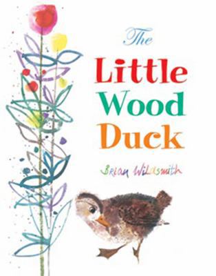 The Little Wood Duck 1595720499 Book Cover