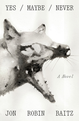 Yes/Maybe/Never 0374280541 Book Cover