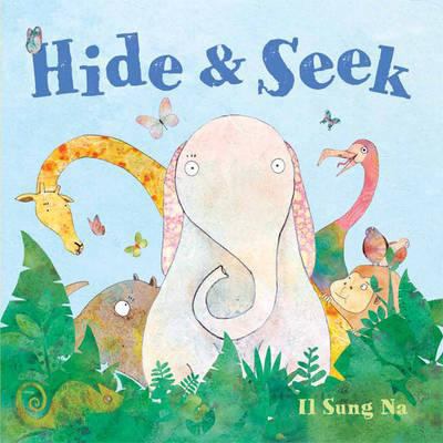 Hide and Seek 184539545X Book Cover