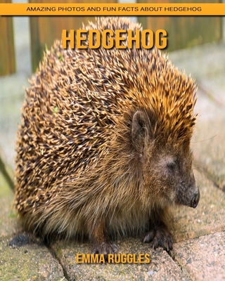 Paperback Hedgehog: Amazing Photos and Fun Facts about Hedgehog [Large Print] Book