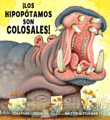 ¡los Hipopótamos Son Colosales! [Spanish] 1641013230 Book Cover