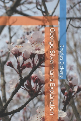 George Silverman's Explanation B086FPXSQP Book Cover