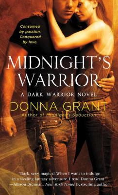 Midnight's Warrior: A Dark Warrior Novel 0312552599 Book Cover