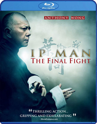 Ip Man: The Final Fight            Book Cover