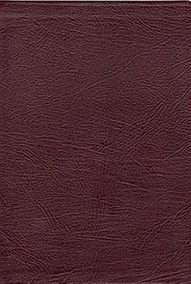 Thompson Chain-Reference Bible 0887076947 Book Cover