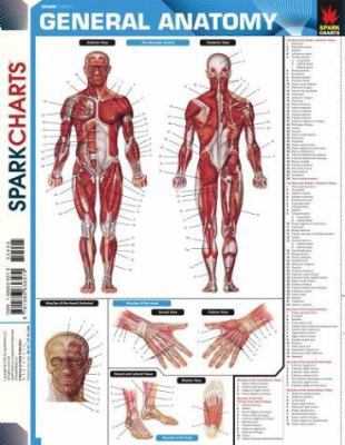 General Anatomy (Sparkcharts) 158663657X Book Cover