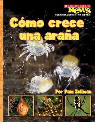 Como crece una arana / A Spiderling Grows Up (S... [Spanish] 0531206432 Book Cover