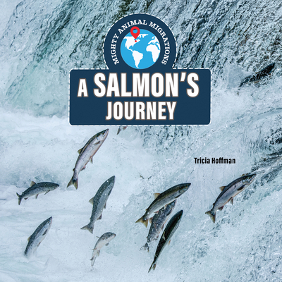 A Salmon's Journey 1978549601 Book Cover