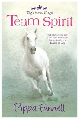 Team Spirit (Tilly's Pony Tails) 1444011987 Book Cover
