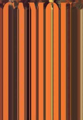 Camouflage 0152014675 Book Cover