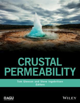 Crustal Permeability 111916656X Book Cover
