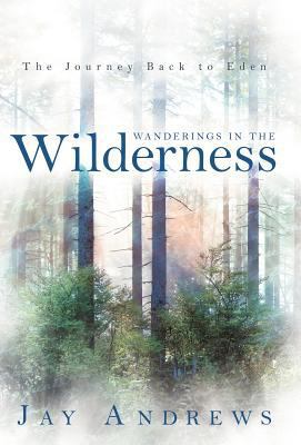 Wanderings in the Wilderness: The Journey Back ... 144972678X Book Cover