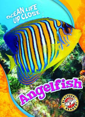 Angelfish 1626177643 Book Cover