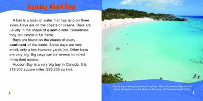 Bays 1404242066 Book Cover