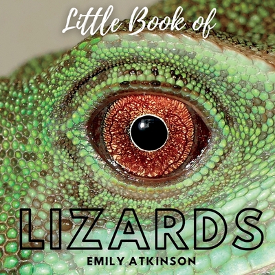 Little Book of Lizards B0B1F1XM3T Book Cover