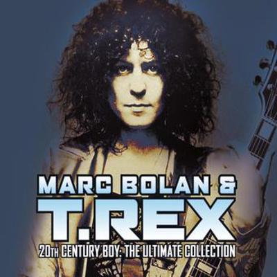 20th Century Boy: The Ultimate Collection B000069V25 Book Cover