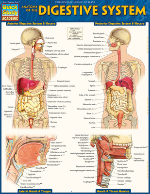 Anatomy of the Digestive System: Quickstudy Lam... 1423234626 Book Cover