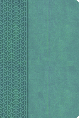 CSB Everyday Study Bible, Earthen Teal Leathert... B0HG4B3SBN Book Cover