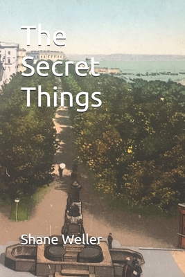 The Secret Things B0CHLKQVF3 Book Cover