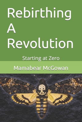 Rebirthing A Revolution: Starting at Zero B0CYKXT3NZ Book Cover