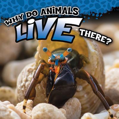 Why Do Animals Live There? 1681918234 Book Cover