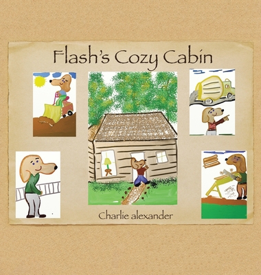 Flash's Cozy Cabin 1669875733 Book Cover