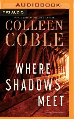 Where Shadows Meet: A Romantic Suspense Novel 1543676642 Book Cover