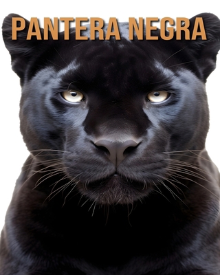 Pantera negra: Aprende sobre los Pantera negra ... [Spanish] B0D28PJQP4 Book Cover