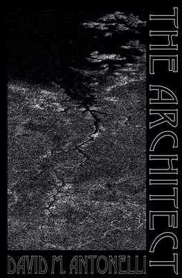 The Architect B0D5PMNYTL Book Cover