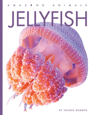 Jellyfish 164026566X Book Cover