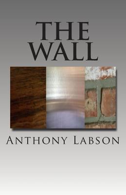 The Wall 1495479617 Book Cover