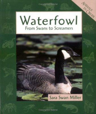 Waterfowl: From Swans to Screamers (Animals in ... 0531164039 Book Cover