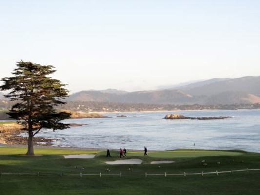 Pacific Paradise : From Monterey to Big Sur