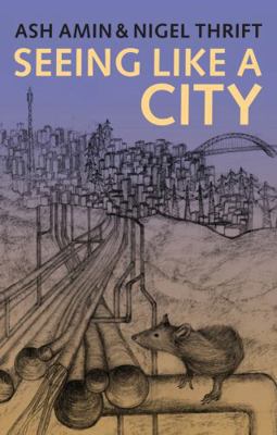 Seeing Like a City 0745664253 Book Cover