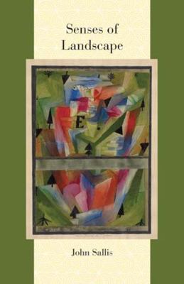 Senses of Landscape 0810131099 Book Cover