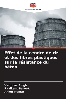 Effet de la cendre de riz et des fibres plastiq... [French] 6207790987 Book Cover
