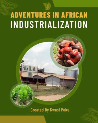 Adventures In African Industrialization 1619571625 Book Cover