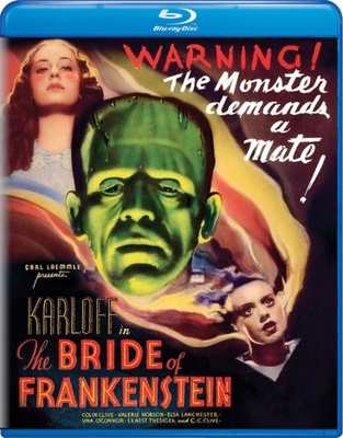 The Bride Of Frankenstein            Book Cover