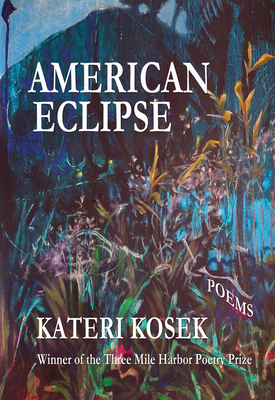 American Eclipse 0998340685 Book Cover