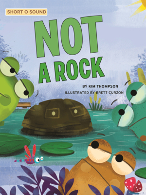 Not a Rock B0GMZBT92X Book Cover