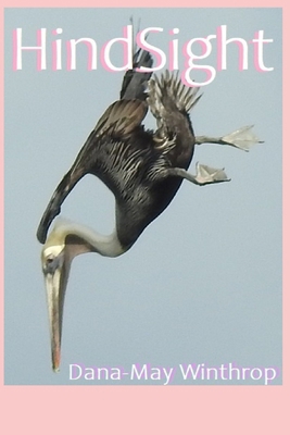 HindSight 1651478090 Book Cover