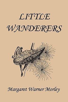 Little Wanderers, Illustrated Edition (Yesterda... 1599153173 Book Cover