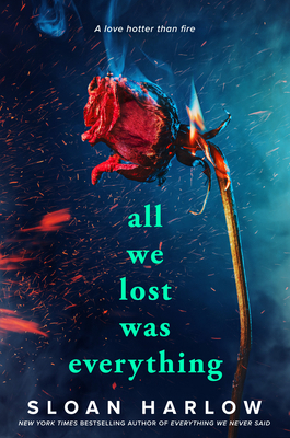 All We Lost Was Everything 0593855949 Book Cover