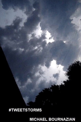 #Tweetstorms 1927914930 Book Cover