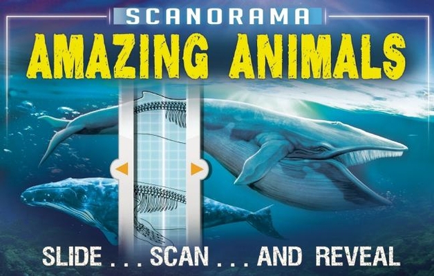 Scanorama: Amazing Animals 1626866317 Book Cover