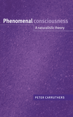 Phenomenal Consciousness: A Naturalistic Theory 0521781736 Book Cover