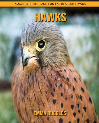 Hawks: Amazing Photos and Fun Facts about Hawks