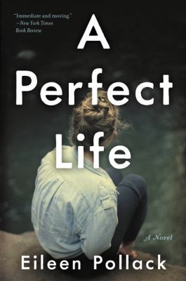 A Perfect Life 0062419188 Book Cover