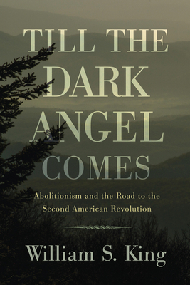 Till the Dark Angel Comes: Abolitionism and the... 1594162387 Book Cover