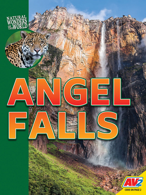 Angel Falls 1791120717 Book Cover